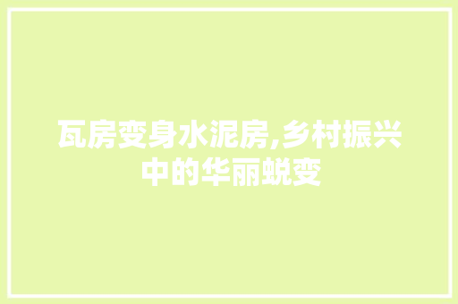 瓦房变身水泥房,乡村振兴中的华丽蜕变