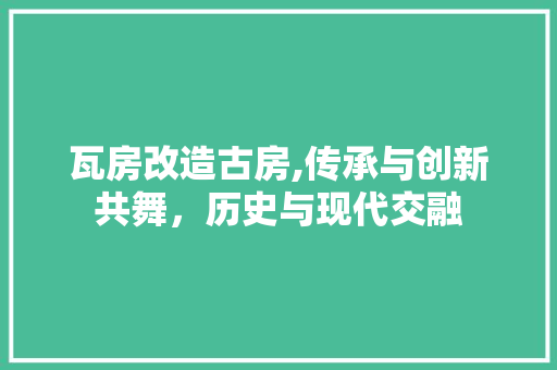 瓦房改造古房,传承与创新共舞，历史与现代交融