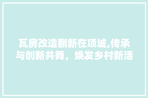 瓦房改造翻新在项城,传承与创新共舞，焕发乡村新活力