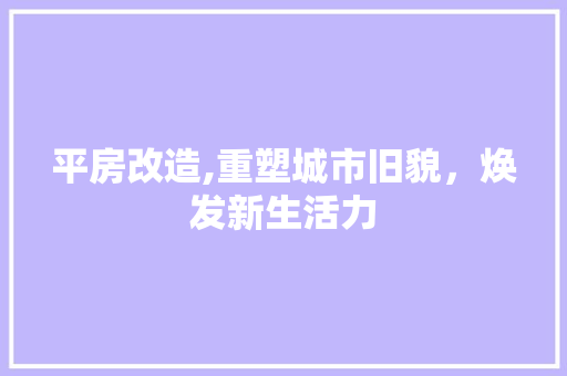 平房改造,重塑城市旧貌，焕发新生活力