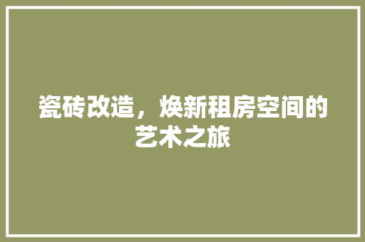 瓷砖改造，焕新租房空间的艺术之旅