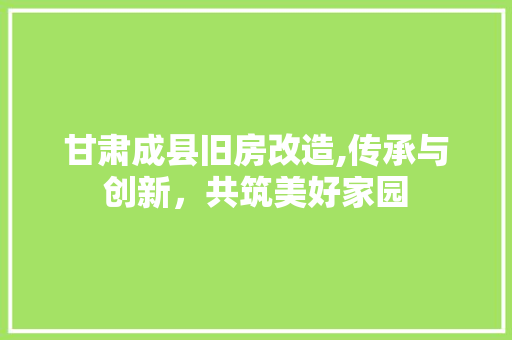 甘肃成县旧房改造,传承与创新，共筑美好家园