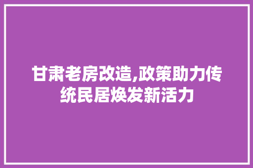 甘肃老房改造,政策助力传统民居焕发新活力