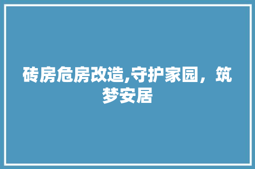 砖房危房改造,守护家园，筑梦安居