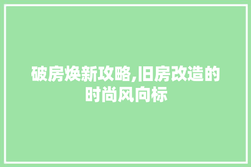 破房焕新攻略,旧房改造的时尚风向标