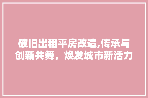 破旧出租平房改造,传承与创新共舞，焕发城市新活力