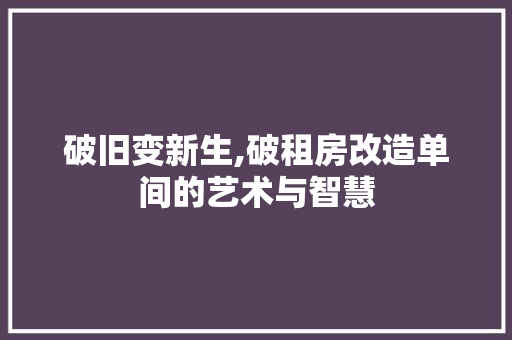 破旧变新生,破租房改造单间的艺术与智慧