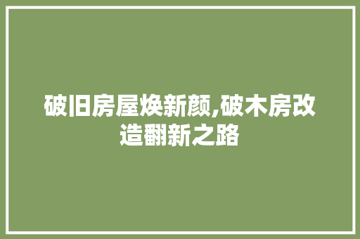 破旧房屋焕新颜,破木房改造翻新之路