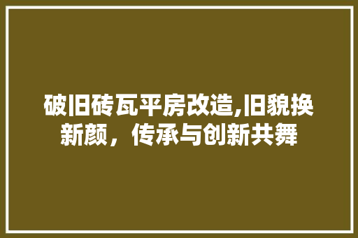 破旧砖瓦平房改造,旧貌换新颜，传承与创新共舞