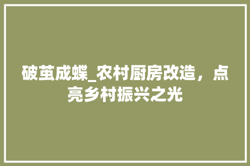 破茧成蝶_农村厨房改造，点亮乡村振兴之光