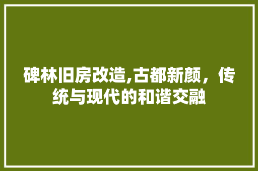 碑林旧房改造,古都新颜，传统与现代的和谐交融