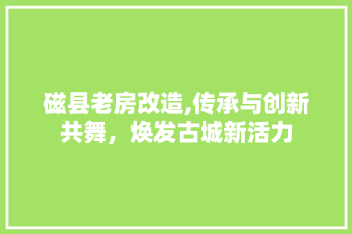 磁县老房改造,传承与创新共舞，焕发古城新活力