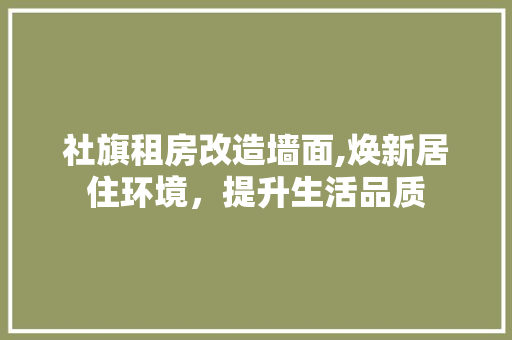 社旗租房改造墙面,焕新居住环境，提升生活品质