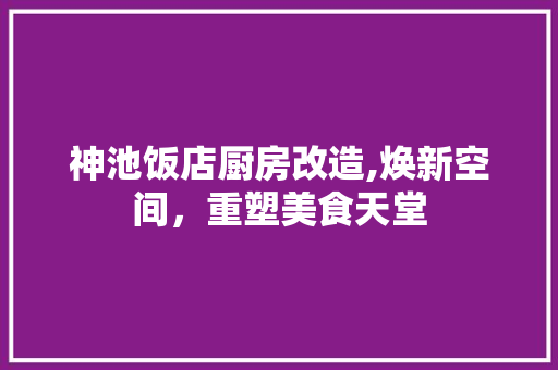 神池饭店厨房改造,焕新空间，重塑美食天堂