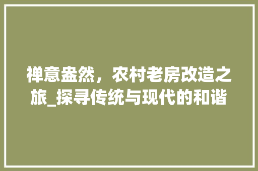 禅意盎然，农村老房改造之旅_探寻传统与现代的和谐共生