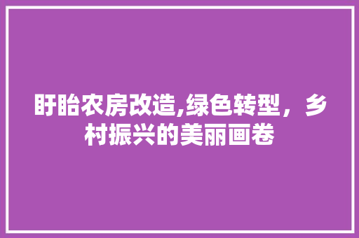 盱眙农房改造,绿色转型，乡村振兴的美丽画卷