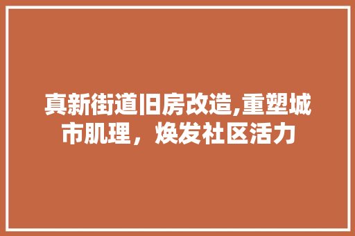 真新街道旧房改造,重塑城市肌理，焕发社区活力