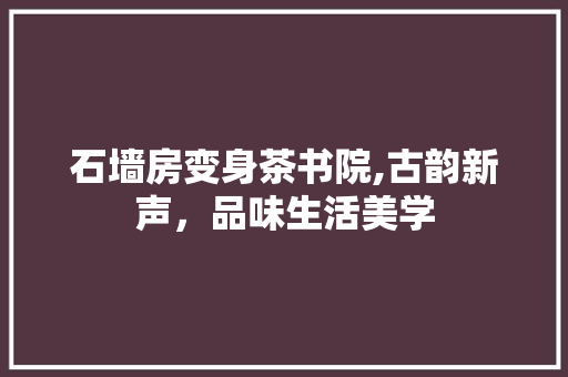 石墙房变身茶书院,古韵新声，品味生活美学