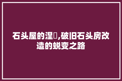 石头屋的涅槃,破旧石头房改造的蜕变之路