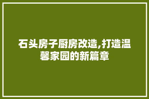 石头房子厨房改造,打造温馨家园的新篇章