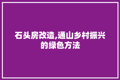 石头房改造,通山乡村振兴的绿色方法