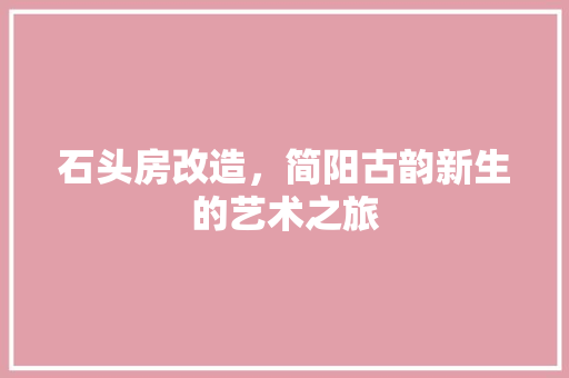 石头房改造，简阳古韵新生的艺术之旅