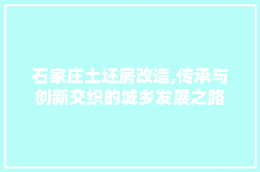 石家庄土坯房改造,传承与创新交织的城乡发展之路