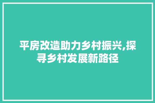 平房改造助力乡村振兴,探寻乡村发展新路径