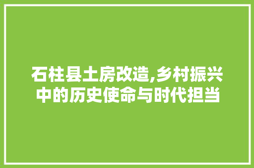石柱县土房改造,乡村振兴中的历史使命与时代担当