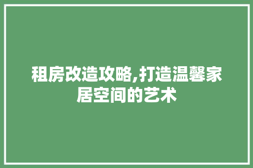 租房改造攻略,打造温馨家居空间的艺术