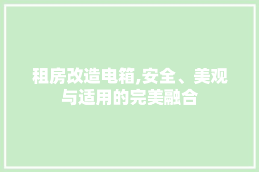 租房改造电箱,安全、美观与适用的完美融合