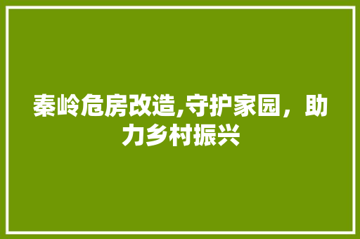 秦岭危房改造,守护家园，助力乡村振兴