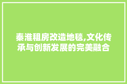 秦淮租房改造地毯,文化传承与创新发展的完美融合