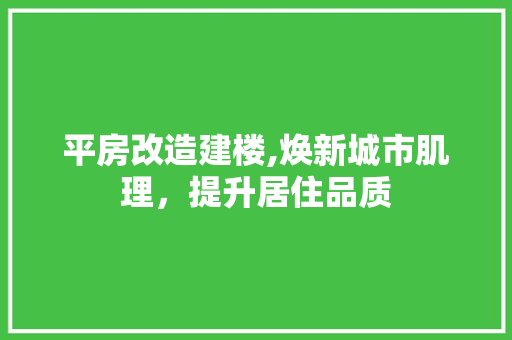 平房改造建楼,焕新城市肌理，提升居住品质