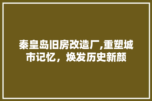 秦皇岛旧房改造厂,重塑城市记忆，焕发历史新颜