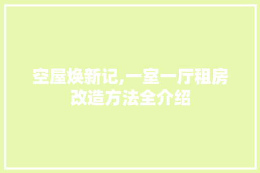 空屋焕新记,一室一厅租房改造方法全介绍
