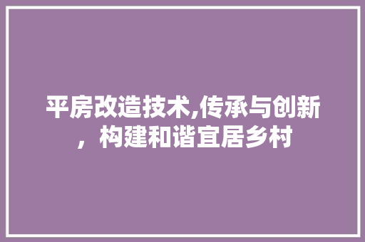 平房改造技术,传承与创新，构建和谐宜居乡村