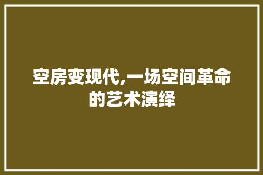 空房变现代,一场空间革命的艺术演绎