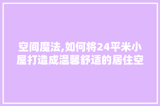 空间魔法,如何将24平米小屋打造成温馨舒适的居住空间