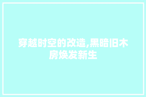 穿越时空的改造,黑暗旧木房焕发新生