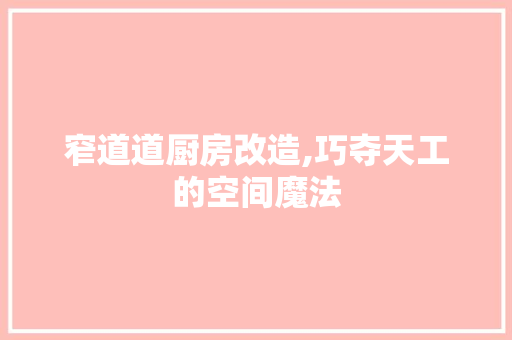 窄道道厨房改造,巧夺天工的空间魔法