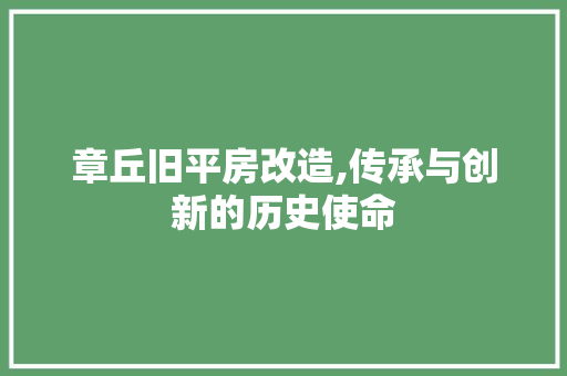 章丘旧平房改造,传承与创新的历史使命