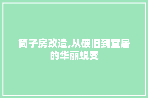 筒子房改造,从破旧到宜居的华丽蜕变