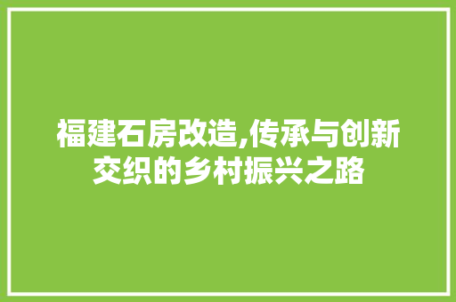 福建石房改造,传承与创新交织的乡村振兴之路