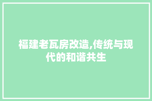 福建老瓦房改造,传统与现代的和谐共生