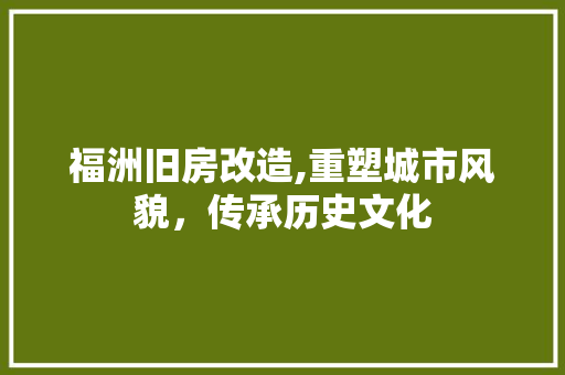 福洲旧房改造,重塑城市风貌，传承历史文化