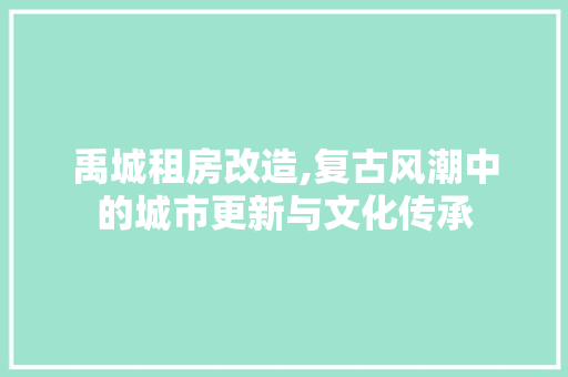 禹城租房改造,复古风潮中的城市更新与文化传承
