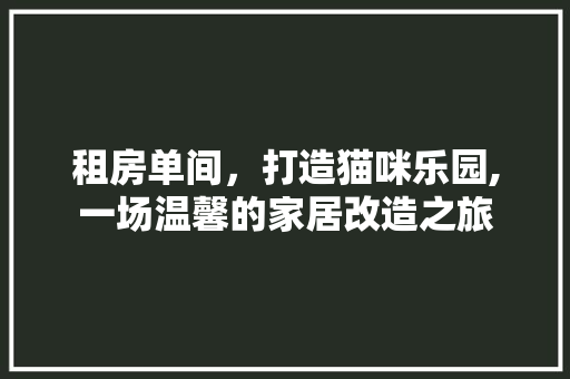 租房单间，打造猫咪乐园,一场温馨的家居改造之旅