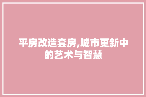 平房改造套房,城市更新中的艺术与智慧