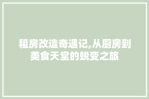 租房改造奇遇记,从厨房到美食天堂的蜕变之旅